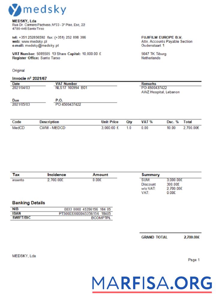 Printable Portugal Medsky Lda company invoice sample